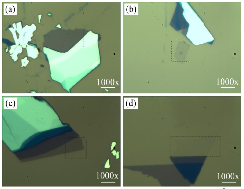 圖 3.3 低溫氧等離子體處理后單層 M o S 2 薄膜的光學顯微鏡圖。（a）樣品 1 # 的光鏡圖，（b）樣 品 2 # 處理 1 0 s 的光鏡圖，（ c）樣品 3 # 處理 2 0 s 的光鏡圖和（ d）樣品 4 # 處理 4 0 s 的光鏡圖。